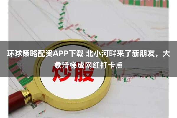 环球策略配资APP下载 北小河畔来了新朋友，大象滑梯成网红打卡点